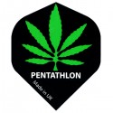 AILETTES PENTATHLON STANDARD Cannabis