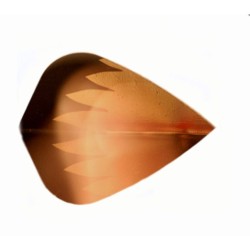 As plumas metálicas do kite dourado K301