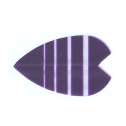 Plumas Amerithon Vortex Purple Plus 2174