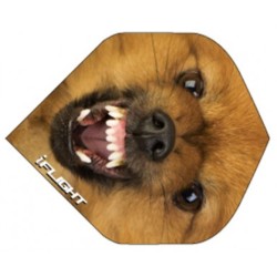 Pluma Ruthless Invencível Standard Dog Inv-26