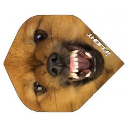 Pluma Ruthless Invencível Standard Dog Inv-26