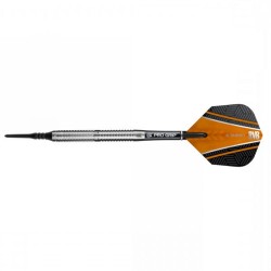 Dardo Target Darts Raymond Van Barneveld 18 gr 90% 100138