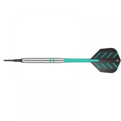Dart Target Darts For the purposes of this Regulation, the following definitions apply:
