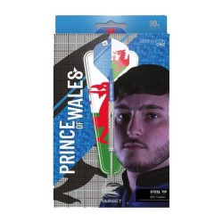 Darts Target Lewy Williams Gen 1 90% 23gr 190163