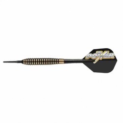 Dart Target This is Bolt Phil Taylor 18gr 200300.