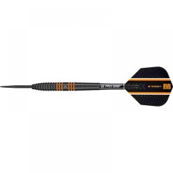 Darts Target Raymond Van Barneveld 24 gr Rvb 80 Schwarz 100151