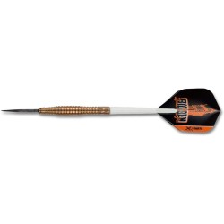 Xqmax Sports Darts Brass Benito Van De Pas Dartset 21g Qd1100290