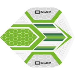Schwertfeder Datadart Hex Flight Grau/grün