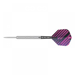 Dardo Target Darts Rapid Ricky Evans 23 gr 90% Steel Tip 100562