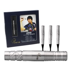 Darts Cosmo Darts Er ist 17.5g 90%