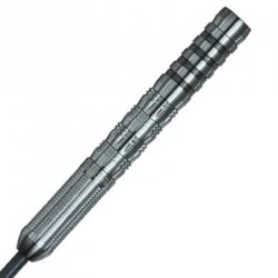 Dardo Dynasty Darts A Flow Bionic 2 Steel 95% 22,4 gr