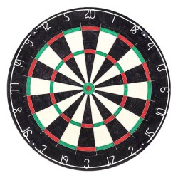 Diana Gildarts Slimbull Dartboard + Surround