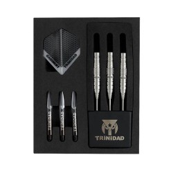 Darts Trinidad Darts Flores Typ3 Stahl 22gr 90%