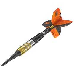 Darts Target Raymond Van Barneveld Gen4 Soft Tip 95% 20gr 210140