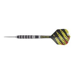 Dardo Target Dimitri Van Den Bergh 80% Sp 80% 26gr 190195