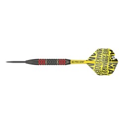 Darts Target Dimitri Van Den Bergh Brass 22gr 170007