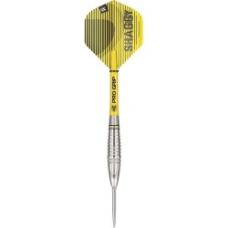 Darts Target Scott Williams 90% 25g Spitzenmetall 190222