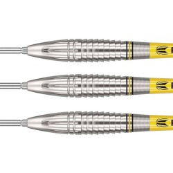 Darts Target Scott Williams 90% 25g Spitzenmetall 190222