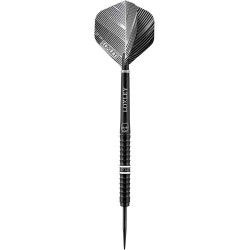 Darts Loxley Darts Der Punisher 21g 90% Stahlspitze