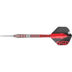 Dardo Target Darts Nathan Aspinall G2 95% 24gr 190256