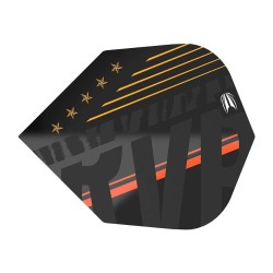 Plumas Target Rvb 80% Raymond Van Barneveld n.° 6 Shape Negro 337050