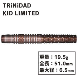 Dardos Trinidad Darts Kid Tomoya Goto Soft Tip 19.5gr 95% E.limitada