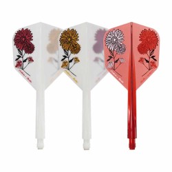 Plumas Condor Axe Gerbera Statice Kort Shape L 33.5m Três de vocês.