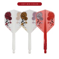 Plumas Condor Axe Gerbera Statice Kort Shape L 33.5m Três de vocês.