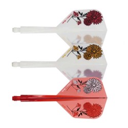 Plumas Condor Axe Gerbera Statice Kort Shape M 27.5m Três de vocês.