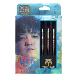 Dardo Trinidad Darts Tipo de criança 2 Tomoya Goto 95% 24g