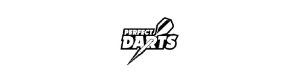 Perfect Darts Point of Steel